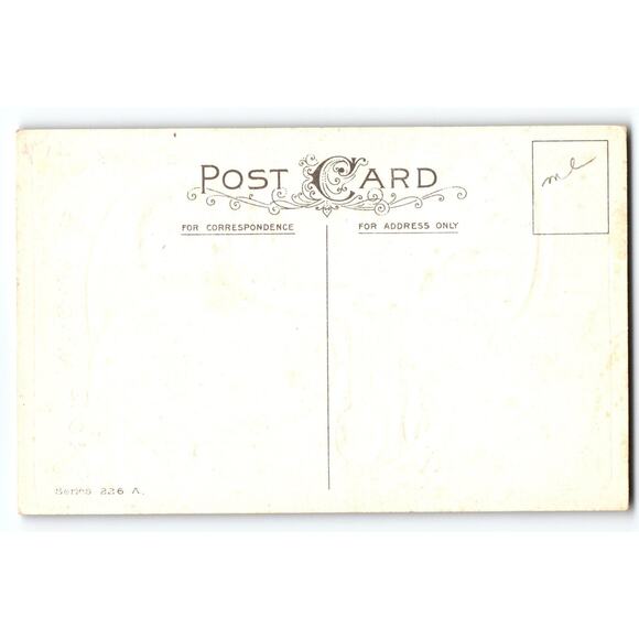 Vintage 1907-1915 Halloween Joys Divided Back Litho Postcard - Picture 2 of 2